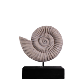 Spiral Fossil Shell Life Size Statue - LM Treasures 