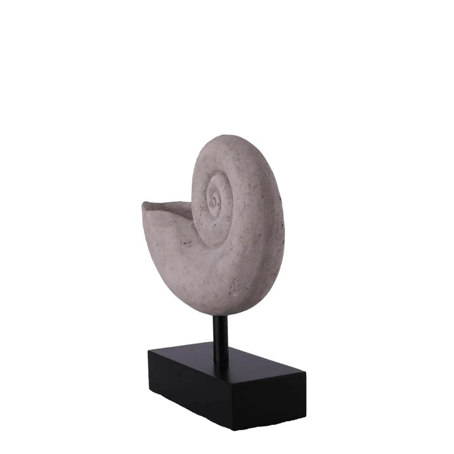Nautilus Fossil Shell Life Size Statue LM Treasures - H