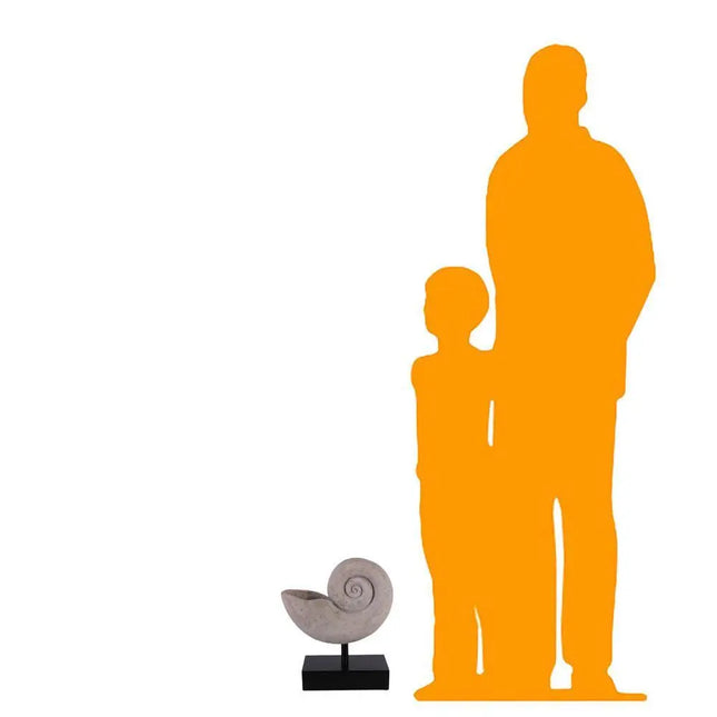 Nautilus Fossil Shell Life Size Statue LM Treasures - H