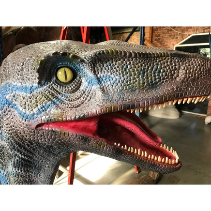 Blue Velociraptor Dinosaur Life Size Statue - LM Treasures 