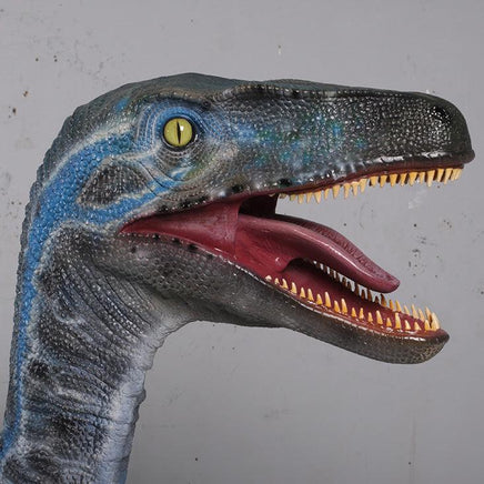 Blue Velociraptor Dinosaur Life Size Statue - LM Treasures 