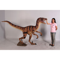 Brown Velociraptor Dinosaur Life Size Statue - LM Treasures 