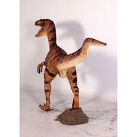 Brown Velociraptor Dinosaur Life Size Statue - LM Treasures 