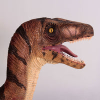 Brown Velociraptor Dinosaur Life Size Statue - LM Treasures 