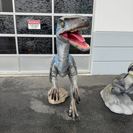 Blue Velociraptor Dinosaur Life Size Statue