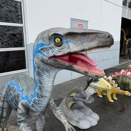 Blue Velociraptor Dinosaur Life Size Statue