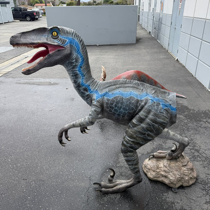 Blue Velociraptor Dinosaur Life Size Statue