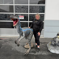 Blue Velociraptor Dinosaur Life Size Statue