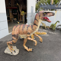 Brown Velociraptor Dinosaur Life Size Statue