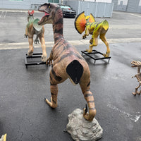 Brown Velociraptor Dinosaur Life Size Statue