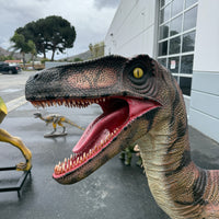 Brown Velociraptor Dinosaur Life Size Statue