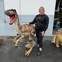 Brown Velociraptor Dinosaur Life Size Statue