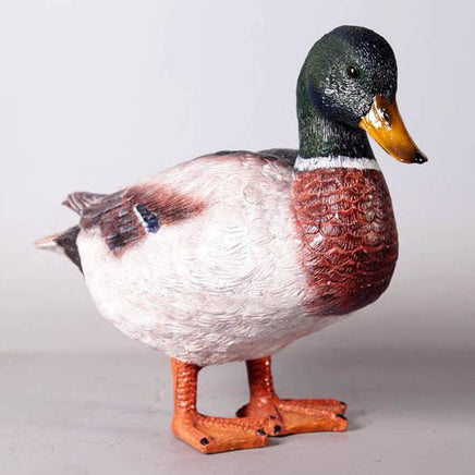 Male Mallard Duck Statue - LM Treasures 