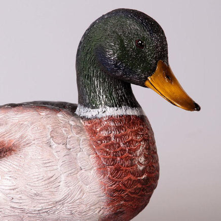 Male Mallard Duck Statue - LM Treasures 