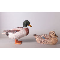 Male Mallard Duck Statue - LM Treasures 
