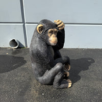 Monkey Chimpanzee Sitting Life Size Statue