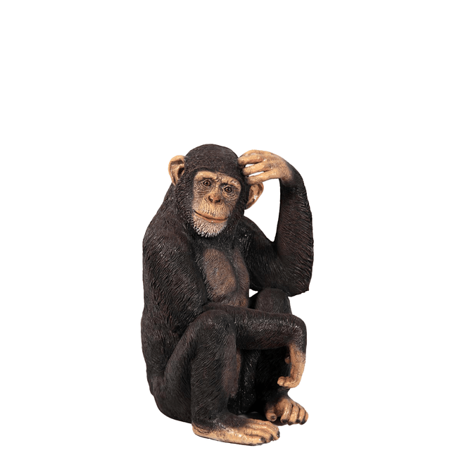 Monkey Chimpanzee Sitting Life Size Statue - LM Treasures 