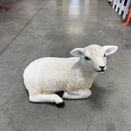 Texelaar Baby Lamb Resting Life Size Statue