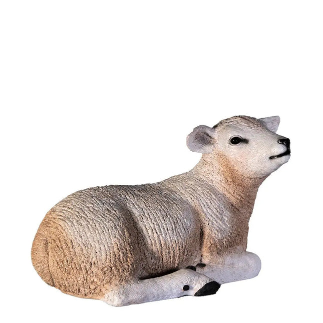 Texelaar Baby Lamb Resting Life Size Statue LM Treasures - H
