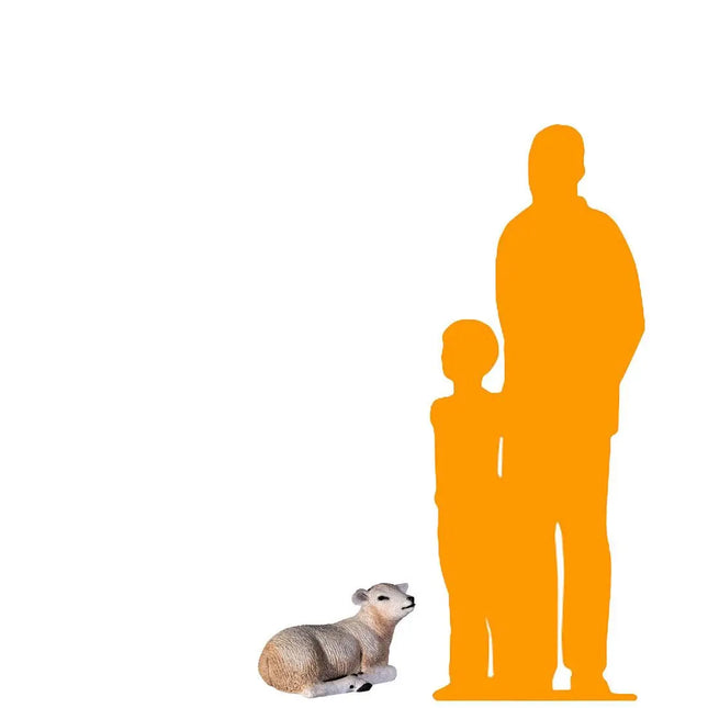 Texelaar Baby Lamb Resting Life Size Statue LM Treasures - H