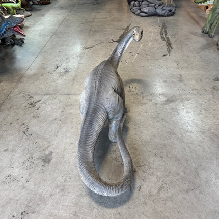 Baby Apatosaurus Dinosaur Life Size Statue