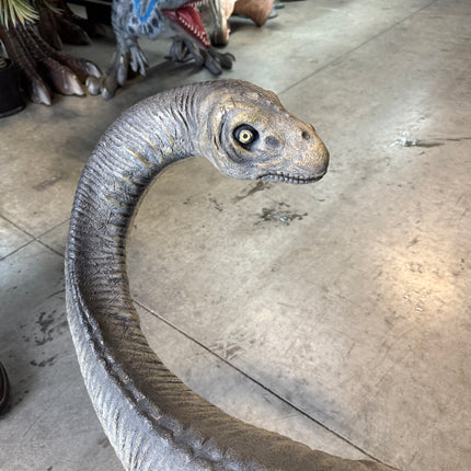 Baby Apatosaurus Dinosaur Life Size Statue