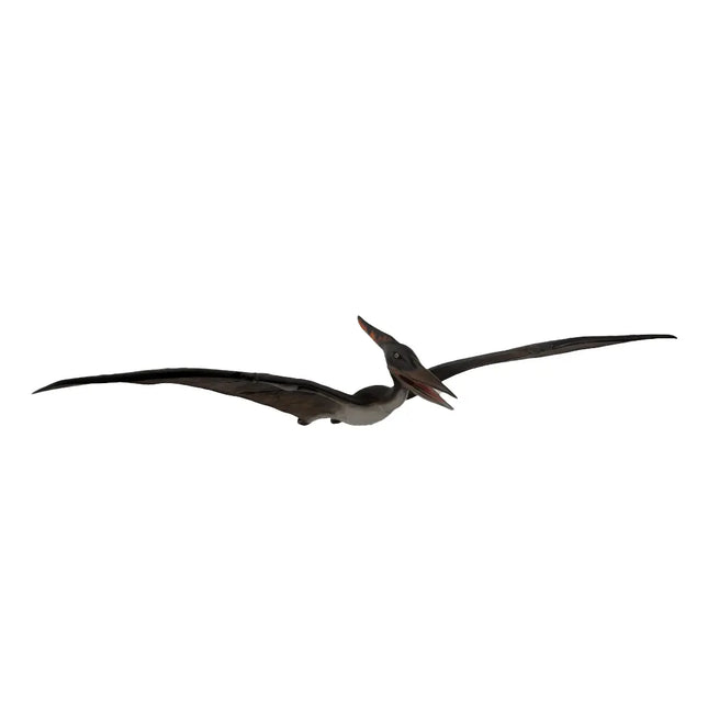 Baby Pteranodon Dinosaur Life Size Statue LM Treasures - H