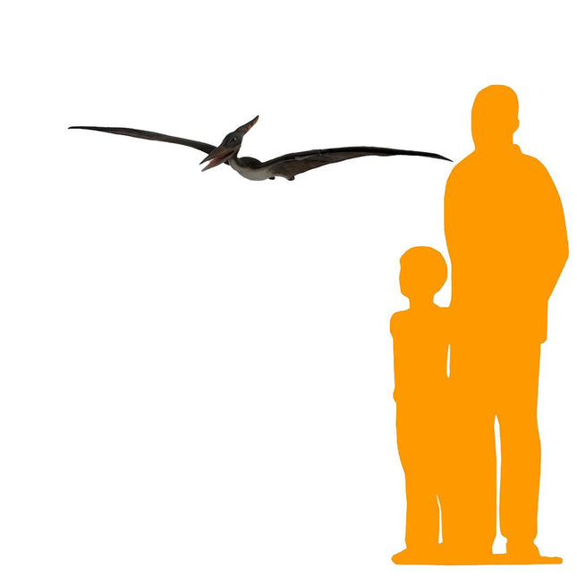 Baby Pteranodon Dinosaur Life Size Statue