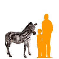 Large Zebra Life Size Statue - LM Treasures 