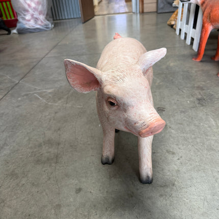 Baby Pig Life Size Statue