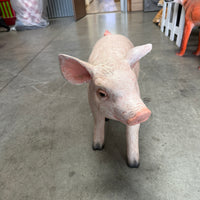 Baby Pig Life Size Statue - LM Treasures 