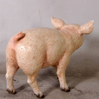 Baby Pig Life Size Statue - LM Treasures 