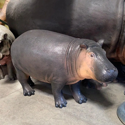 Baby Hippo Life Size Statue LM Treasures - H