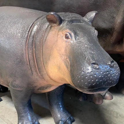 Baby Hippo Life Size Statue LM Treasures - H