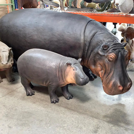 Baby Hippo Life Size Statue LM Treasures - H