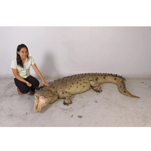 Crocodile Mouth Open Life Size Statue LM Treasures - H