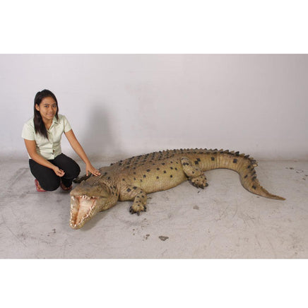 Crocodile Mouth Open Life Size Statue - LM Treasures 