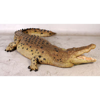 Crocodile Mouth Open Life Size Statue - LM Treasures 