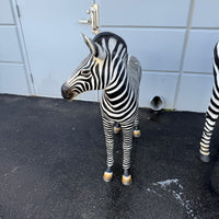 Baby Zebra Foal Life Size Statue - LM Treasures 