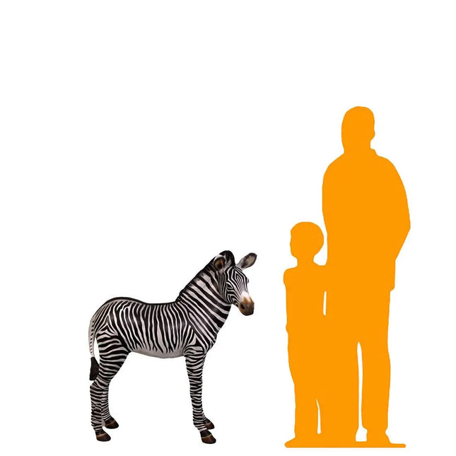 Baby Zebra Foal Life Size Statue LM Treasures - H