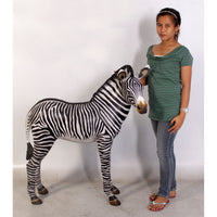 Baby Zebra Foal Life Size Statue - LM Treasures 