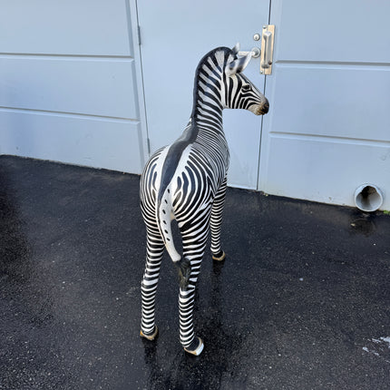 Baby Zebra Foal Life Size Statue