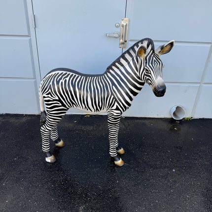 Baby Zebra Foal Life Size Statue