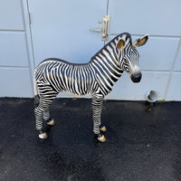 Baby Zebra Foal Life Size Statue - LM Treasures 