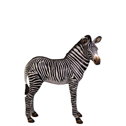 Baby Zebra Foal Life Size Statue - LM Treasures 