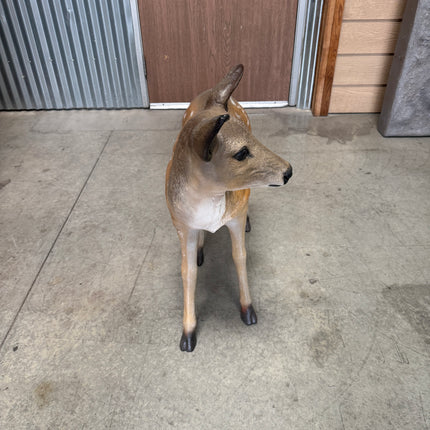 Fawn Fallow Deer Life Size Statue