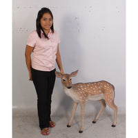 Fawn Fallow Deer Life Size Statue - LM Treasures 