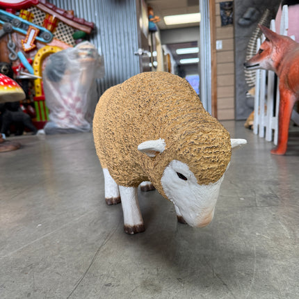 Baby Merino Ewe Head Down Life Size Statue