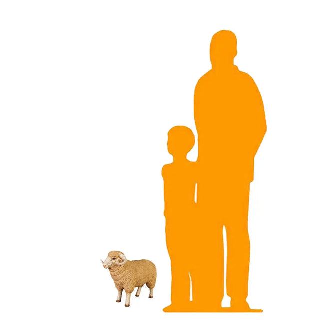 Baby Merino Ram Life Size Statue LM Treasures - H