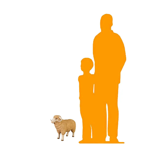 Baby Merino Ram Life Size Statue LM Treasures - H